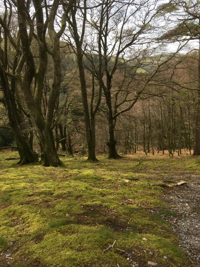 مبيت وإفطار آبيريستويث Bryncoed المظهر الخارجي الصورة